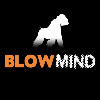 Blowmind, l'album 10 titres