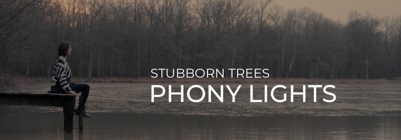 Phony Lights, le nouveau clip de Stubborn Trees